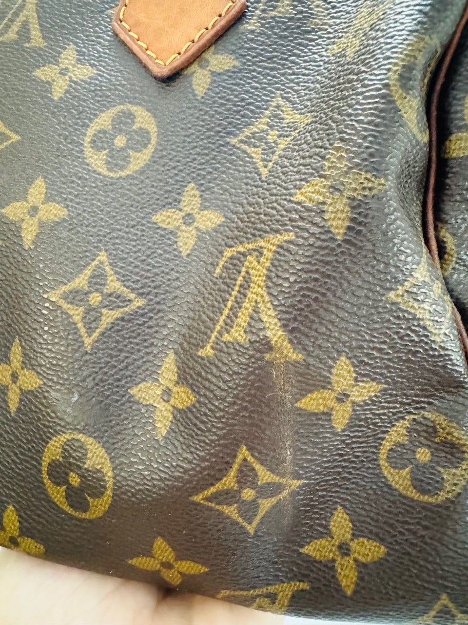 LOUIS VUITTON SPEEDY 25