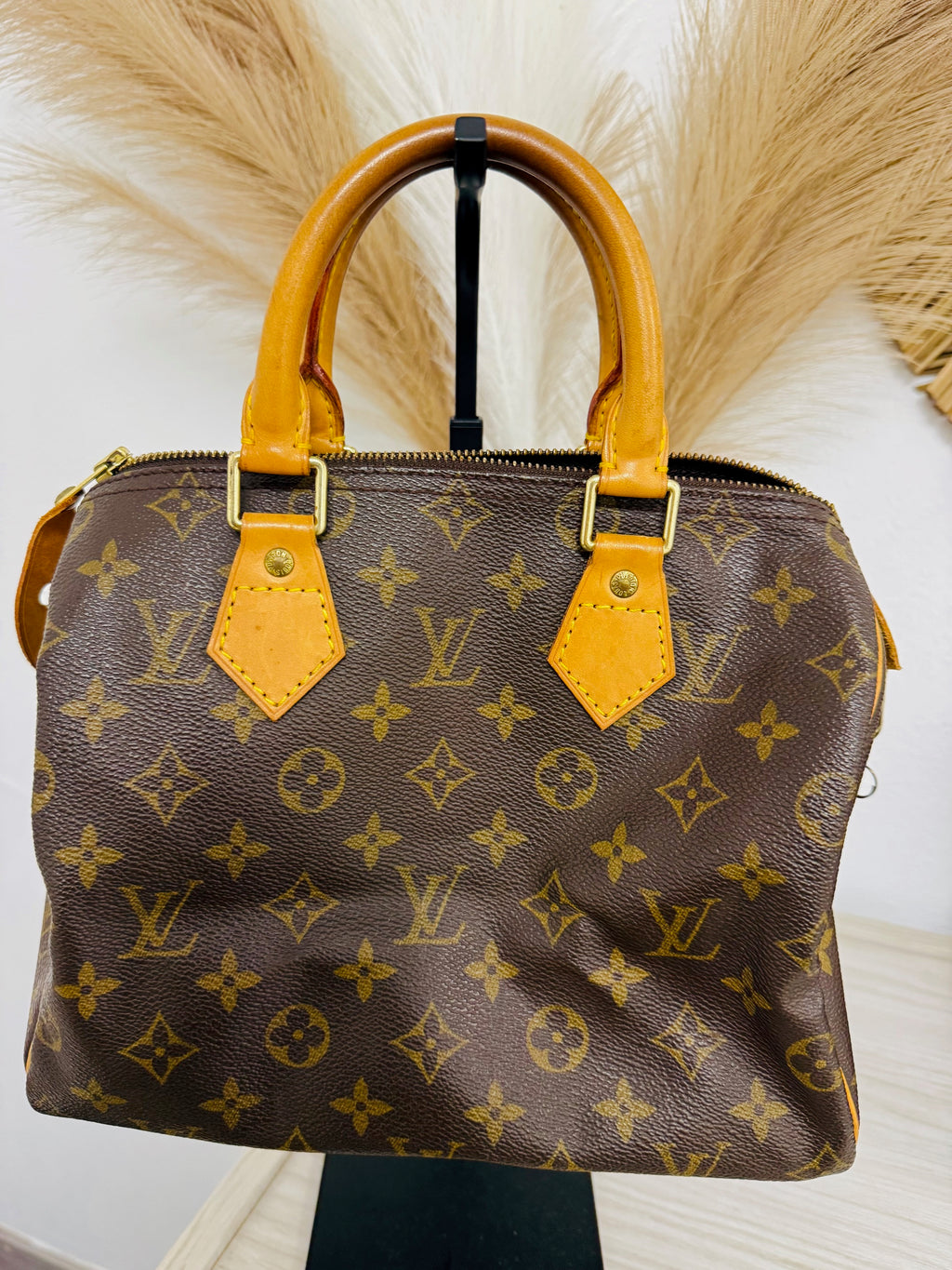LOUIS VUITTON SPEEDY 25