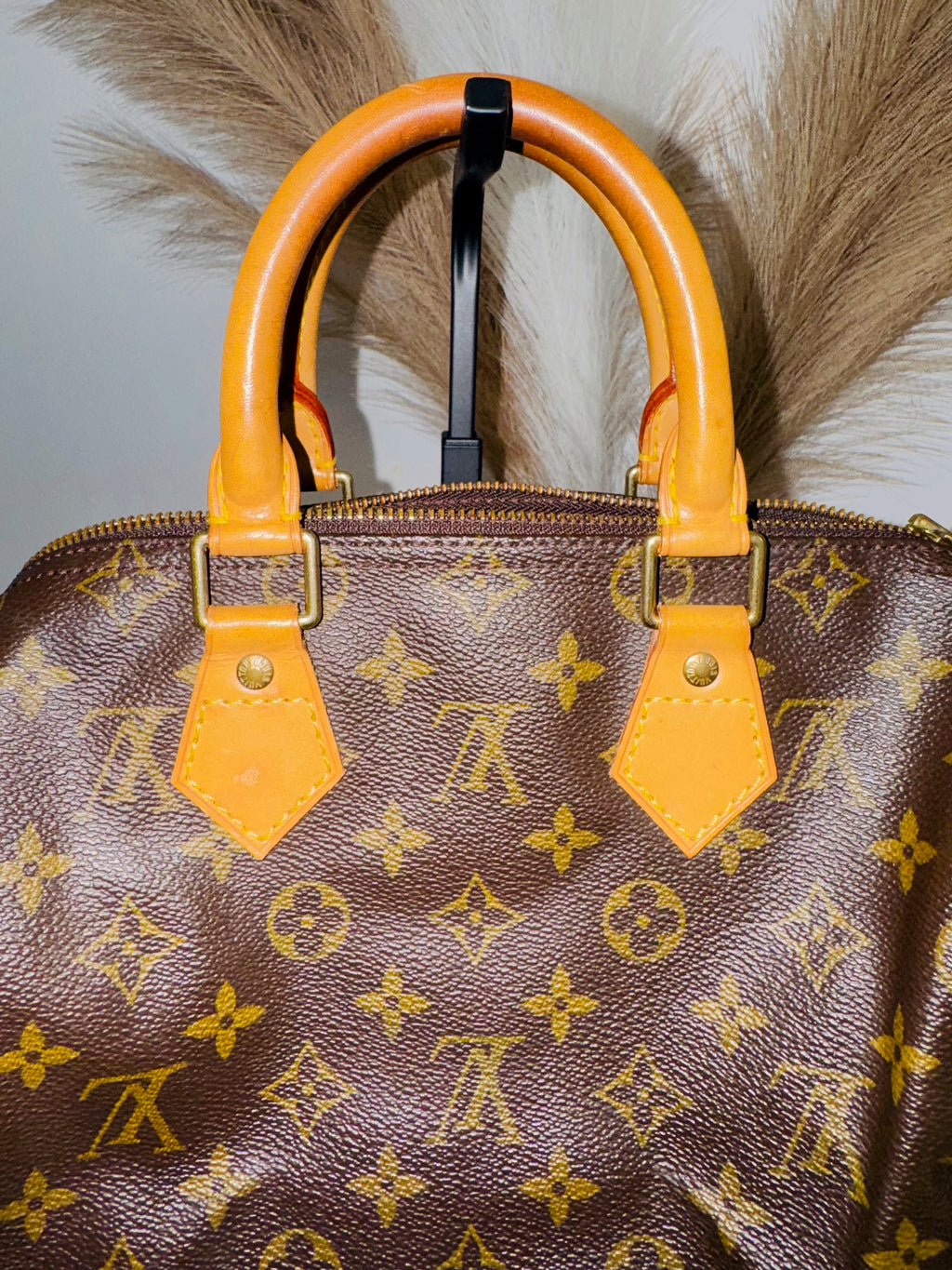 LOUIS VUITTON SPEEDY 25